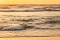 Sea ocean water surface with foaming small waves at sunset. Evening sunlight sunshine above sea. Ocean water foam Royalty Free Stock Photo