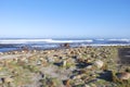 Sea and Ocean waves coming in on the Sand at Cape point