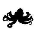 Sea octopus with tentacles isolated black silhouette. Black cuttlefish. Squid. Marine animal. White background. Vector