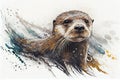 Sea otter drawing with bit of watercolour