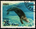 Sea Otter Enhydra lutris, sea fauna, stamp USSR circa 1990