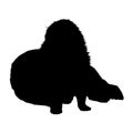 Sitting Sea Otter Silhouette. Good To Use For Element Print Book, Animal Book and Animal Content