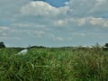 Water and grasslands