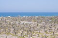 Sea and Palm Trees on Desert Royalty Free Stock Photo