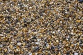 Sea pebble. Natural composition background