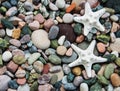 Sea pebble stones and starfish Royalty Free Stock Photo