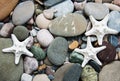 Sea pebble stones and starfish Royalty Free Stock Photo