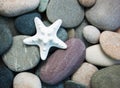 Sea pebble stones and starfish Royalty Free Stock Photo