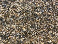 Sea pebbles