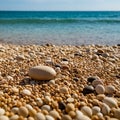 Sea pebbles and shells against the backdrop of the sunny sea and beach. Generative AI Royalty Free Stock Photo