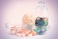 Sea pebbles and shells in glass containers Royalty Free Stock Photo