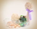 Sea pebbles and shells in glass containers Royalty Free Stock Photo