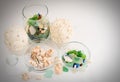 Sea pebbles and shells in glass containers Royalty Free Stock Photo