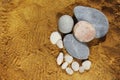 Sea pebbles and small natural shells on yellow shell-textured sand