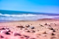 Sea pebbles, stones and rocks, laying on beach sand Royalty Free Stock Photo