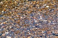 Sea Pebbles Texture