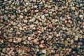 Sea pebbles texture. Background of littele stones. Sea shore