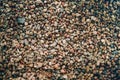 Sea pebbles texture. Background of littele stones. Sea shore