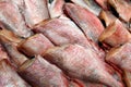 Sea perch - headless fish for sale at the market, raw fresh fish with red scales