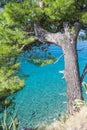 walk through pine arch to clear azure blue sea