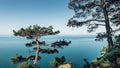 Sea, pines, Rock, picturesque sunny seascape. Black Sea, Krasnodar Region, Northern Caucasus, Russia