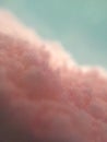 Sea of pink clouds