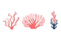 Sea plants, water, flat style vector, pink and blue, isolated on white