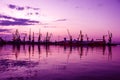 Sea port cranes, sunset, Odessa, Ukraine Royalty Free Stock Photo