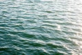 Sea ripples. Bright background. Dark green water. Shallow waves and sun glare on the water. Royalty Free Stock Photo