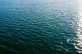 Sea ripples. Bright background. Dark green water. Shallow waves and sun glare on the water.