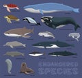 Sea and River Endangered Species Cartoon Animal Cute Vector Illustration Royalty Free Stock Photo