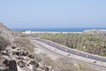 Sea, Road and Palm Trees on Desert