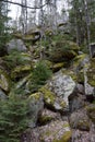 Sea of rocks near small stream Vydra, Czech Republic.