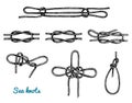 Sea rope knots in different directions for water transport. Marine sketch with ornament. engraved hand drawn, atlantic