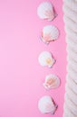 Sea rope and scallop shells on colored pink background with negative space