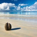 Sea's coconuts (coco de mer) on beach at Seychelles Royalty Free Stock Photo