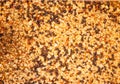 Sea salt close-up, spice or seasoning as background. Black Pepper, Sea salt, Pepper flakes, Curry Powder Royalty Free Stock Photo