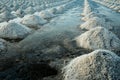 Sea salt farm at Samut Sakhon, Thailand. Organic sea salt. Evaporation and crystallization of sea water. Raw material of salt