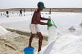 Sea salt harvesting Royalty Free Stock Photo