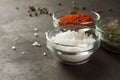 Sea salt, paprika and dry thyme in glass bowls on dark stone background. Royalty Free Stock Photo