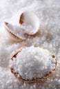 Sea salt in sea shell on salts background