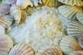 Sea salt and seashells Royalty Free Stock Photo