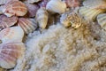 Sea salt and seashells Royalty Free Stock Photo