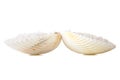 Sea salt in a shell Royalty Free Stock Photo