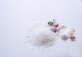 Sea salt and shells on a white background. Background for Thalassotherapy and Spa