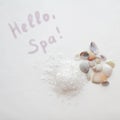 Sea salt and shells on a white background. Background for Thalassotherapy and Spa