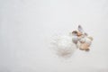 Sea salt and shells on a white background. Background for Thalassotherapy and Spa