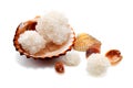 Sea salt with shells on a white background close-up. salt isolate Royalty Free Stock Photo