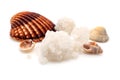 Sea salt with shells on a white background close-up. salt isolate Royalty Free Stock Photo