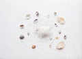 Sea salt and shells on a white background. Background for Thalassotherapy and Spa